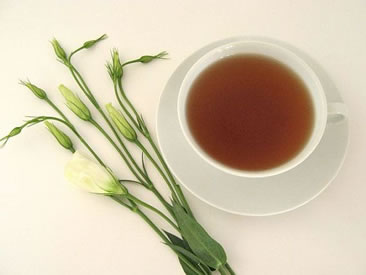 Chado'dan yepyeni bir lezzet ; Yeşil Rooibos | Chado Tea
